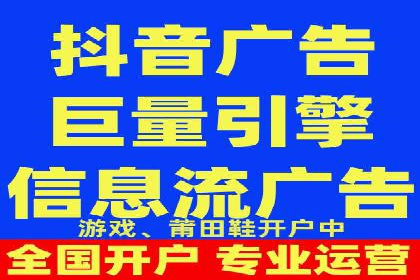 SEO百度推广策略：成功案例解析